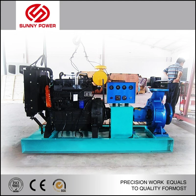 product-800-800 product-800-800