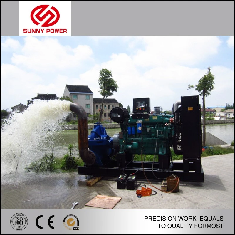 product-800-800 product-800-800