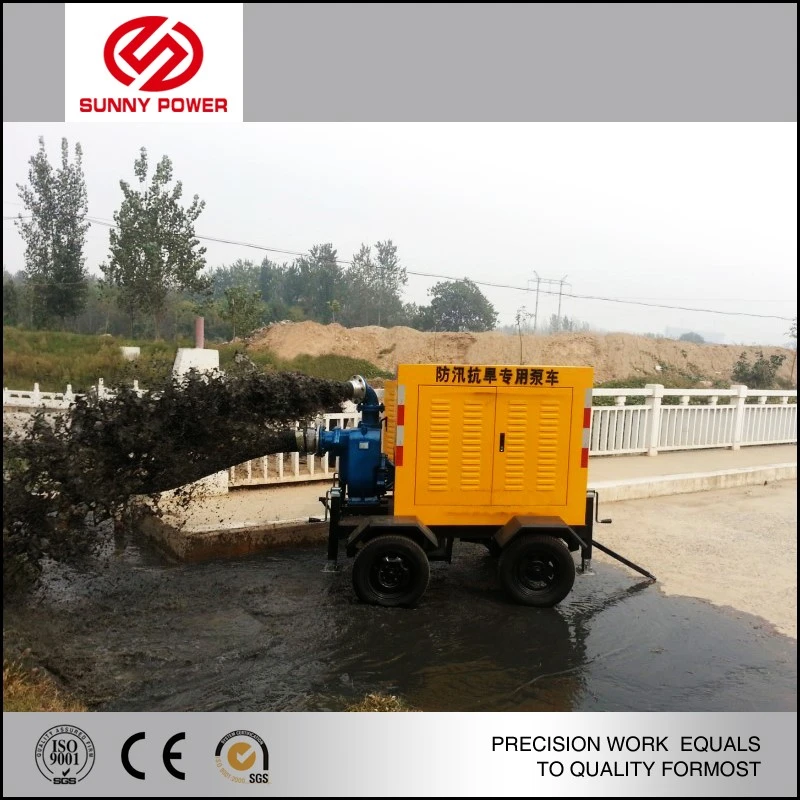 product-800-800 product-800-800