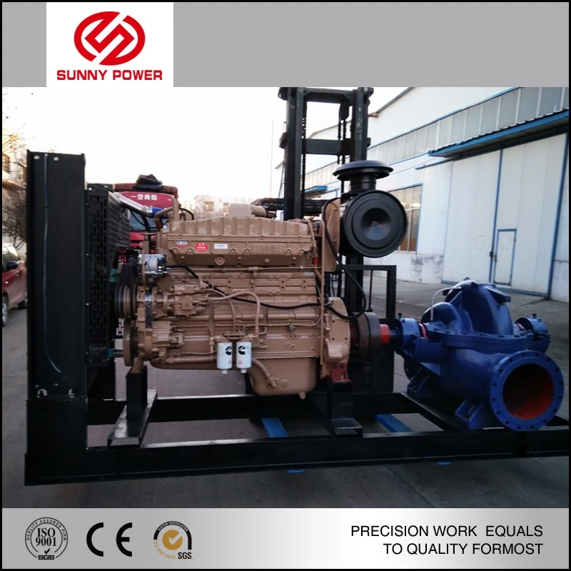 product-800-800 product-800-800