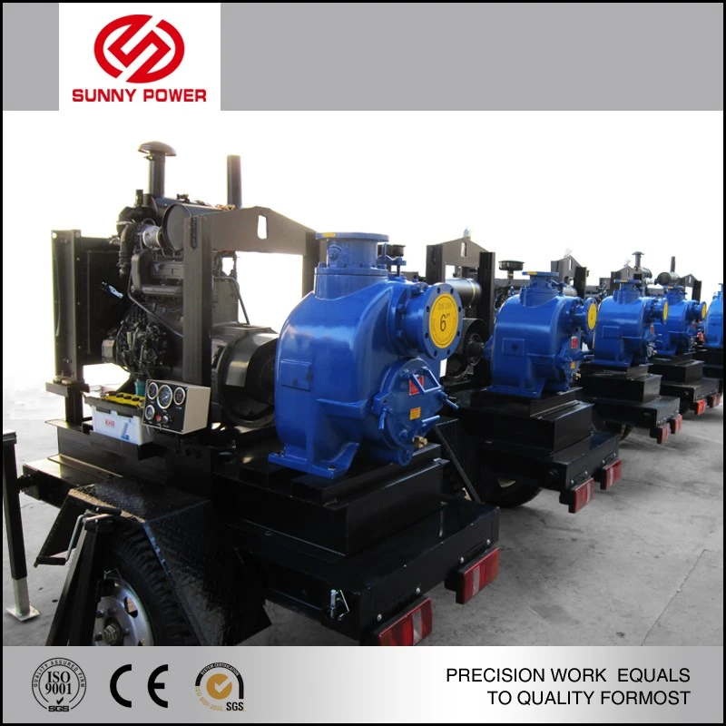 product-800-800 product-800-800