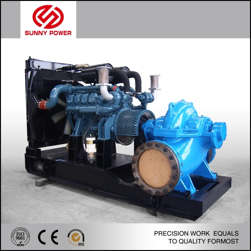product-800-800 product-800-800