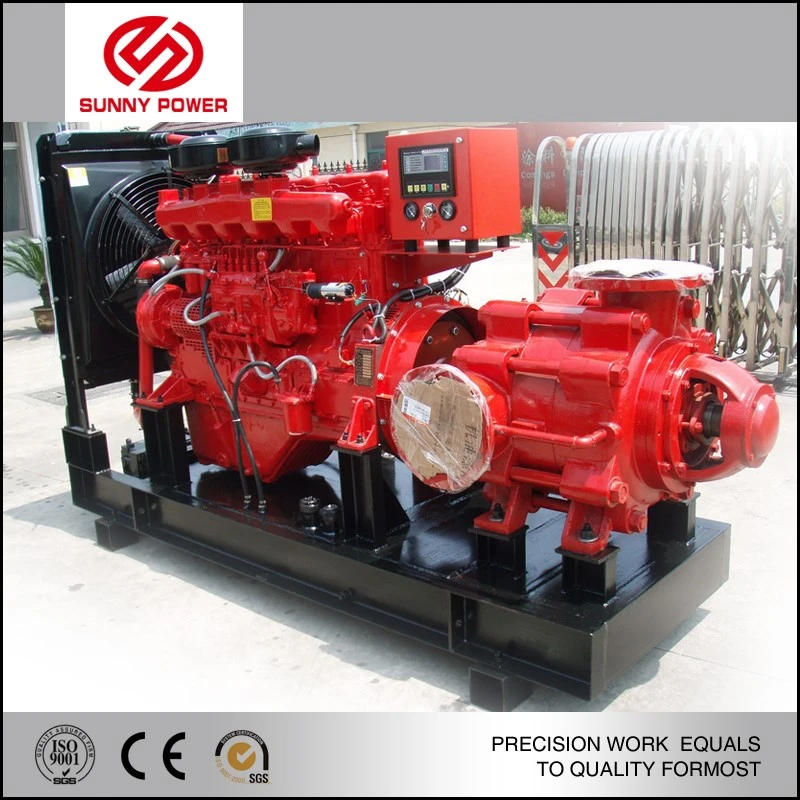 product-800-800