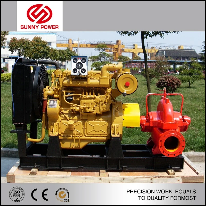 product-800-800