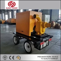 Trailer Flood Treatment Pump